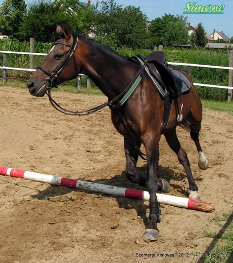 1-lovastabor_2012-267.jpg