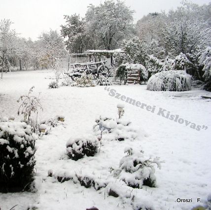 1-pict1136-001.jpg