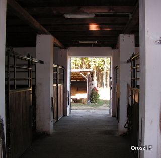istallo_2.jpg