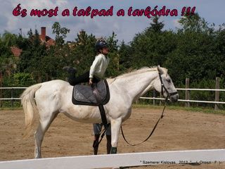 lovastabor_2012_honlap-010.jpg