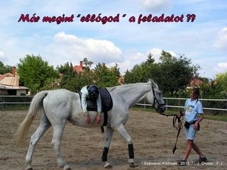 lovastabor_2012_honlap-011.jpg
