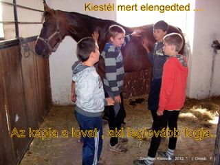 lovastabor_2012_honlap-018.jpg