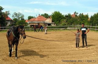 lovastabor_2012_honlap-024.jpg