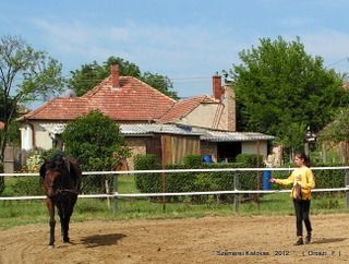lovastabor_2012_honlap-025.jpg
