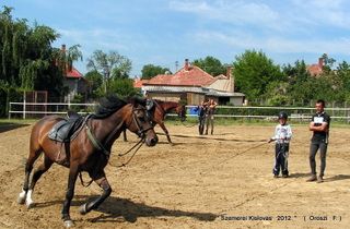 lovastabor_2012_honlap-026.jpg