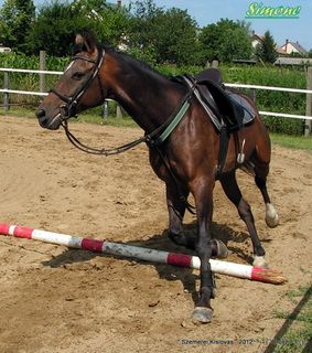 lovastabor_2012_honlap-027.jpg