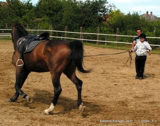 lovastabor_2012_honlap-029.jpg