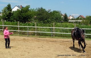 lovastabor_2012_honlap-030.jpg