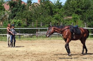 lovastabor_2012_honlap-032.jpg