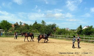 lovastabor_2012_honlap-033.jpg