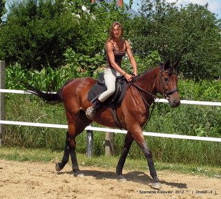 lovastabor_2012_honlap-037.jpg