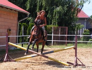 lovastabor_2012_honlap-039.jpg