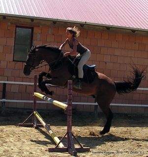 lovastabor_2012_honlap-042.jpg