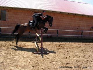 lovastabor_2012_honlap-048.jpg