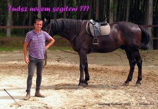 lovastabor_2012_honlap-055.jpg