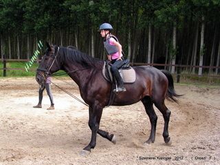 lovastabor_2012_honlap-058.jpg