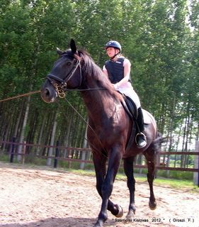 lovastabor_2012_honlap-060.jpg