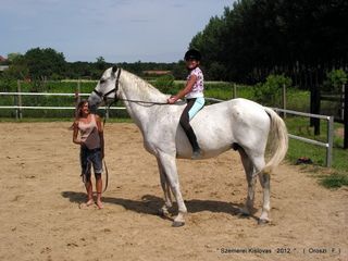 lovastabor_2012_honlap-063.jpg