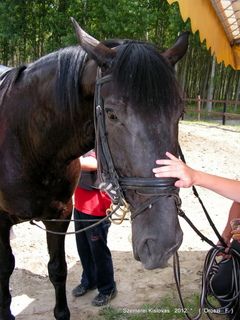 lovastabor_2012_honlap-065.jpg