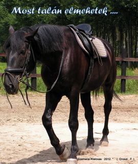 lovastabor_2012_honlap-068.jpg