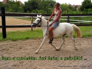 lovastabor_2012_honlap-083.jpg