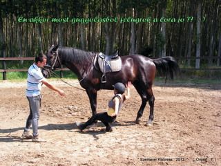 lovastabor_2012_honlap-093.jpg