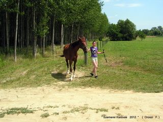 lovastabor_2012_honlap-099.jpg