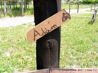 lovastabor_2012_honlap-114.jpg