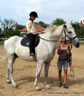 lovastabor_2012_honlap-137.jpg
