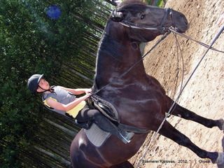 lovastabor_2012_honlap-162.jpg