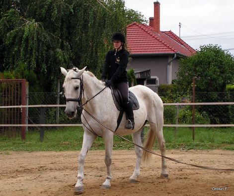pict0591.jpg