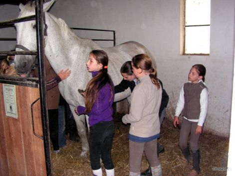 pict0688.jpg