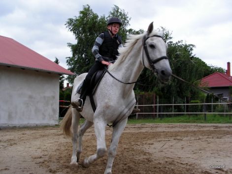 pict0748.jpg