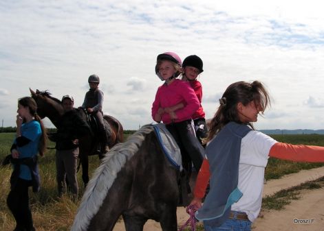 pict0990.jpg