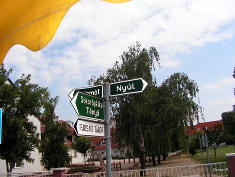 pict1031.jpg