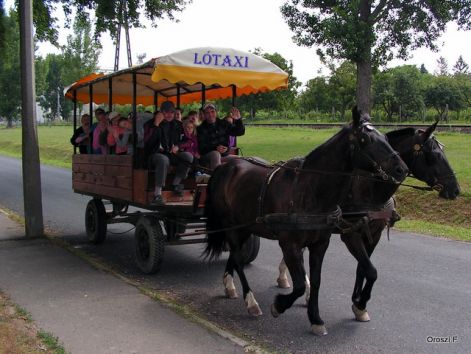 pict1035.jpg