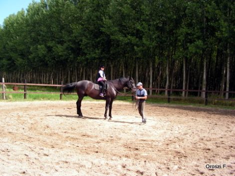 pict2550.jpg