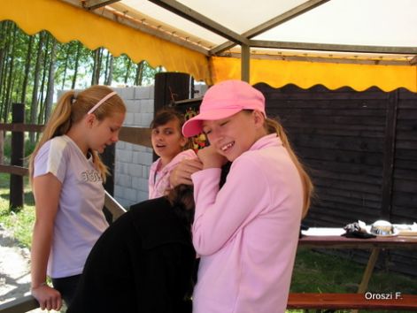 pict2594.jpg