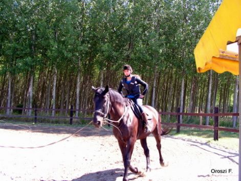 pict2599.jpg