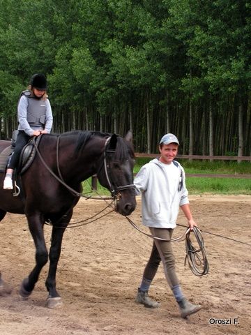 pict2767.jpg