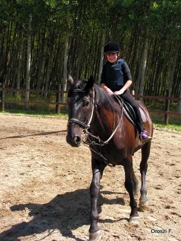 pict2888.jpg