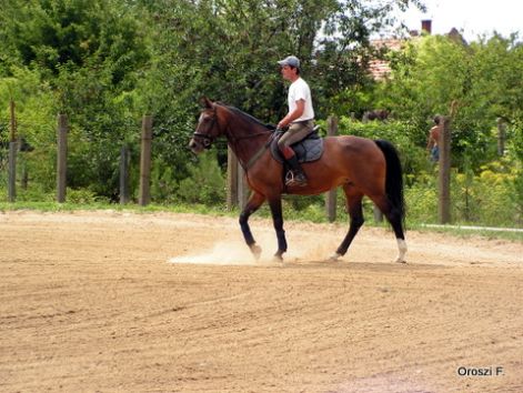 pict2944.jpg
