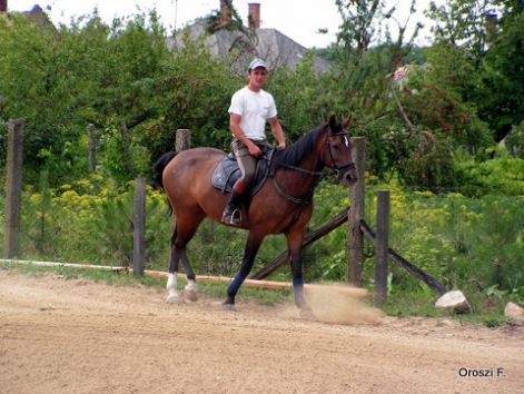 pict2947.jpg