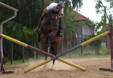 pict2969.jpg