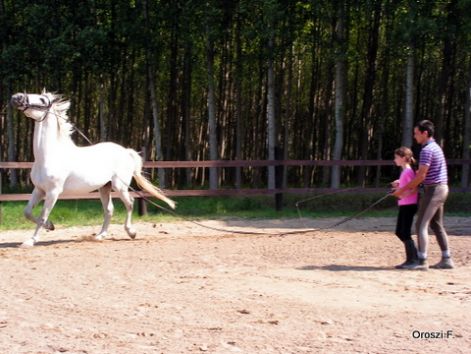 pict3031.jpg