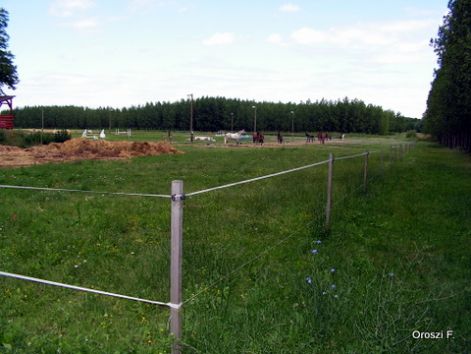 pict3249.jpg