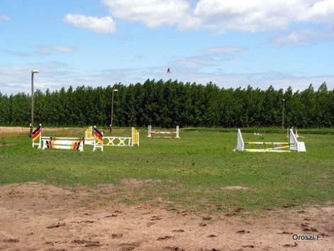 pict3271.jpg