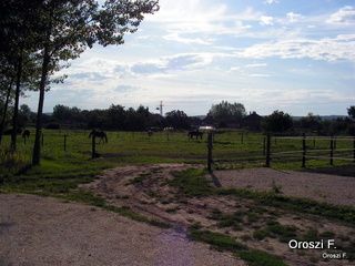 pict3522-1.jpg