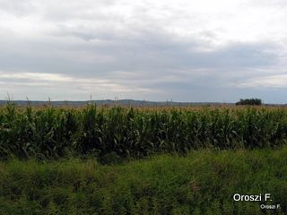 pict3805.jpg