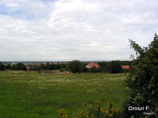 pict3837.jpg